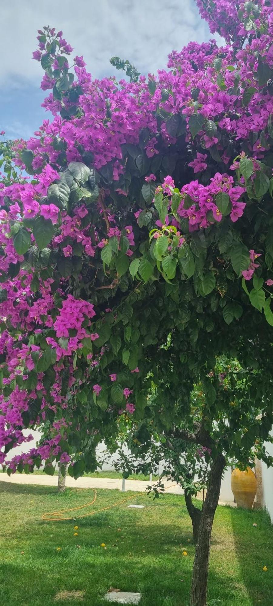 Villa Guajira Bari Esterno foto
