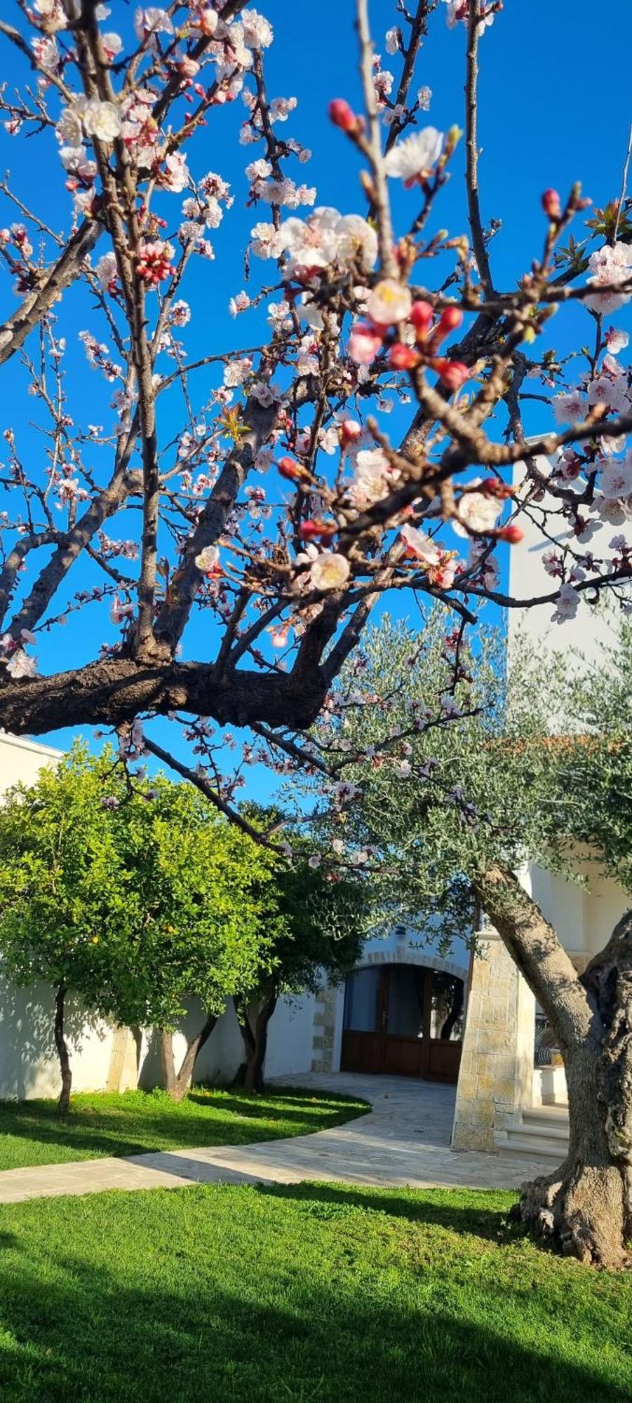 Villa Guajira Bari Esterno foto