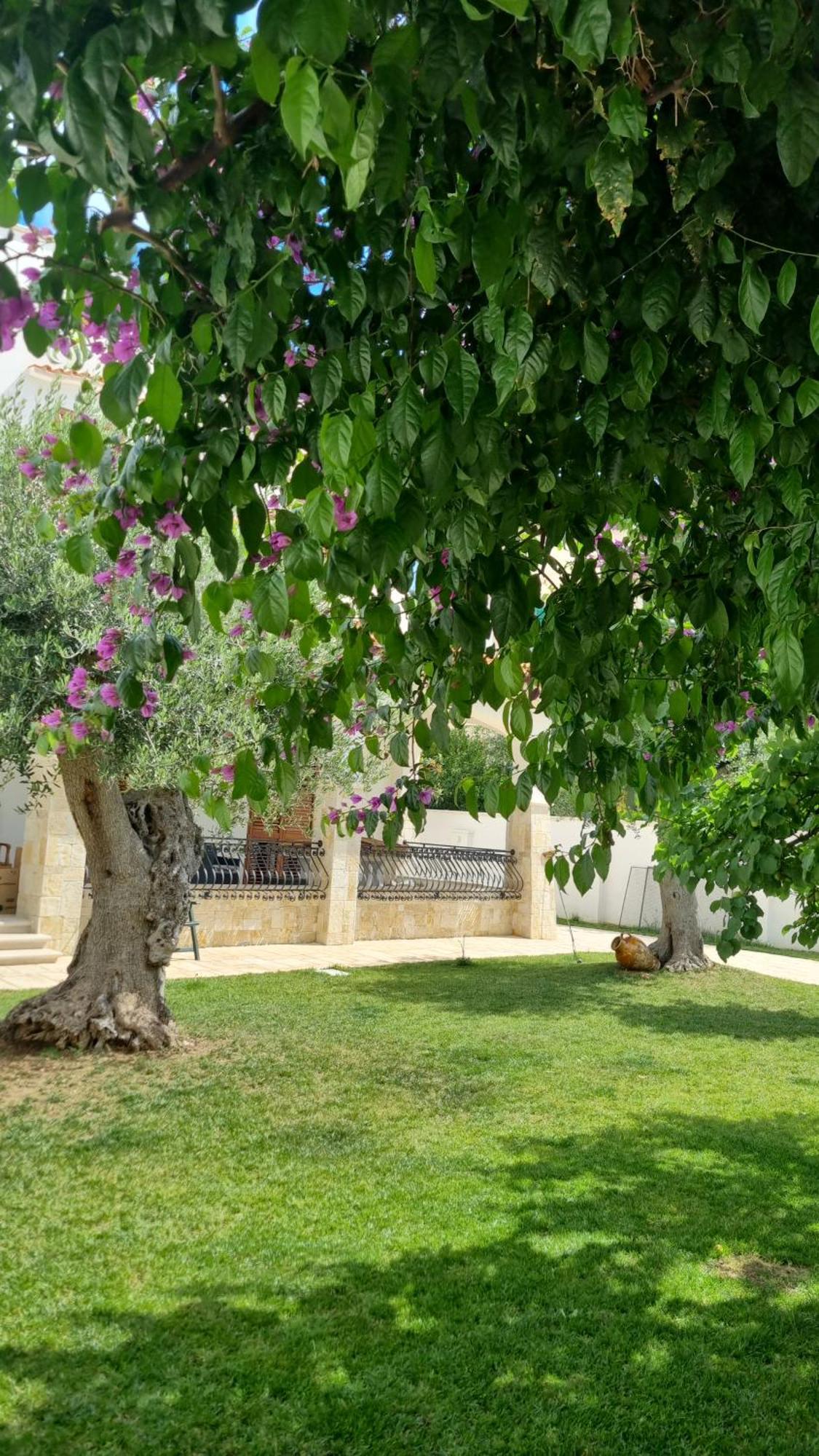 Villa Guajira Bari Esterno foto