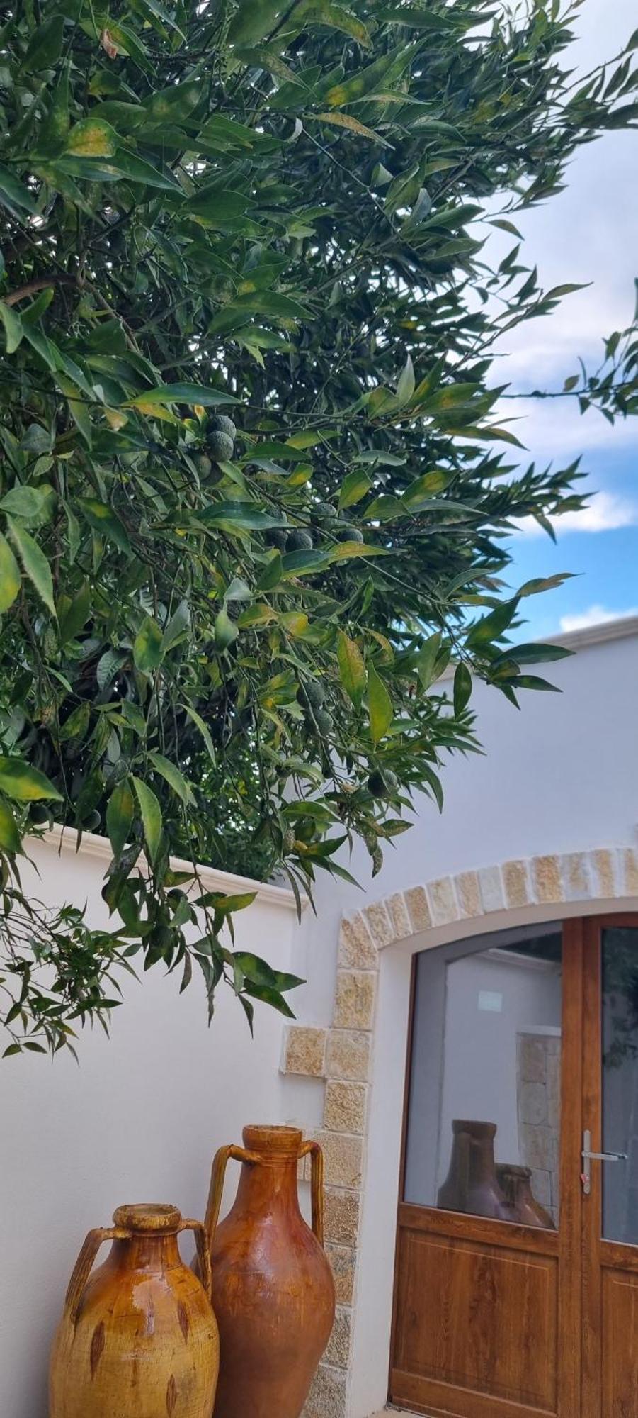 Villa Guajira Bari Esterno foto