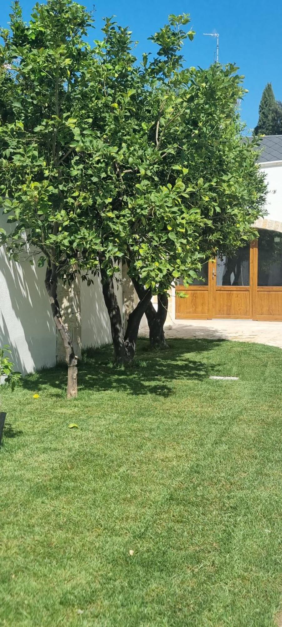 Villa Guajira Bari Esterno foto