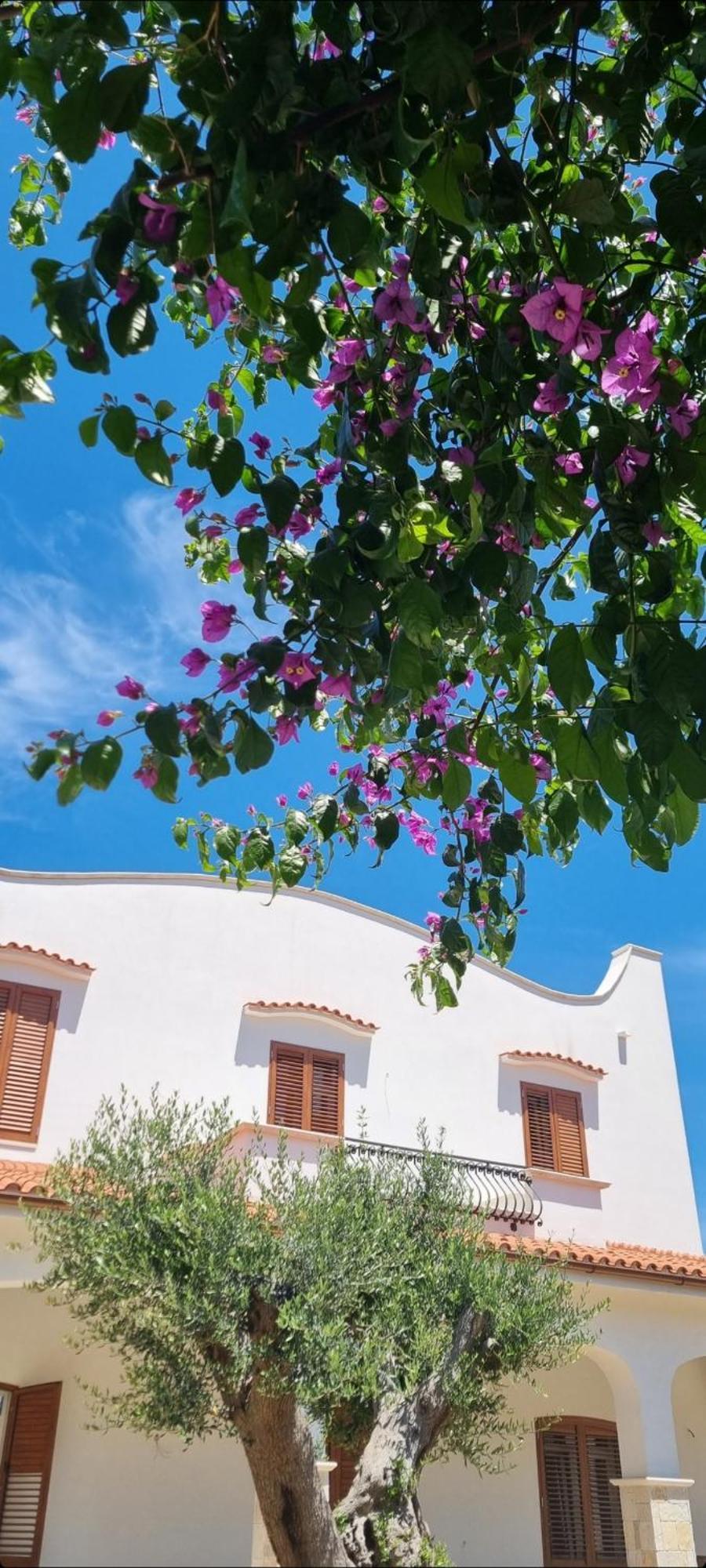 Villa Guajira Bari Esterno foto